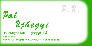 pal ujhegyi business card